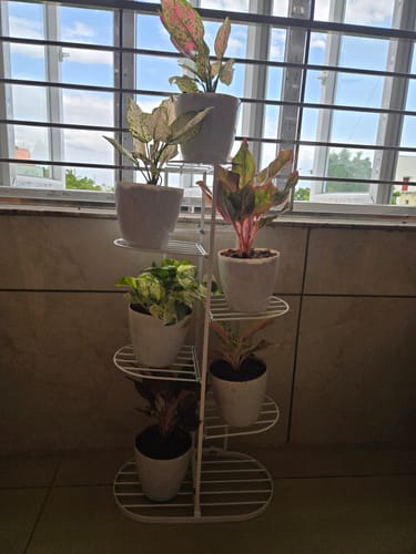 Customer photo review of UnitedCrafts 6 Tier 7 Potted Metal Plant Stand Multiple Shelves