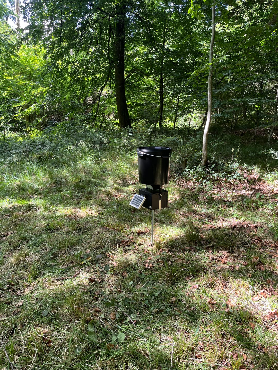 Customer photo review of Coonfeeder