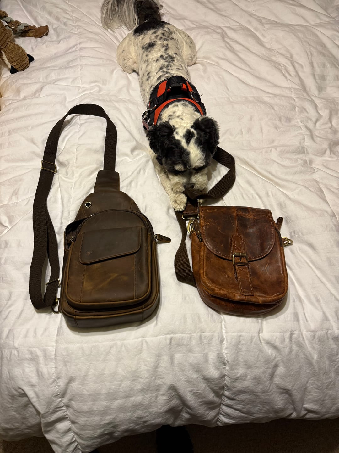 Customer photo review of Cowhide Leather Sling Bag