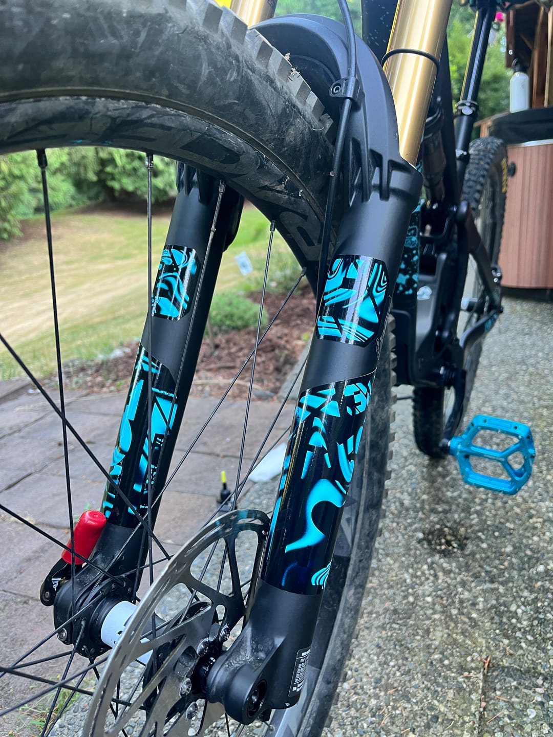 Customer photo review of Custom Fox 36 Decal