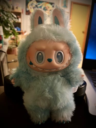 Customer photo review of Pop Mart Labubu The Monsters Big into Energy Series Vinyl Plush Pendant Single Blind Box
