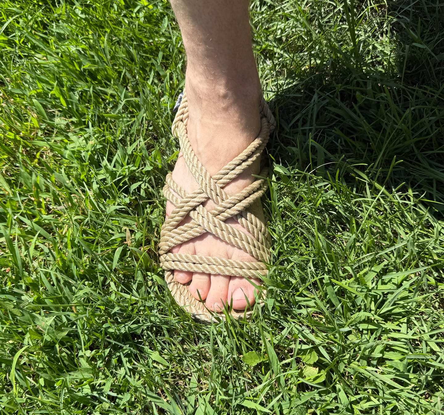 Customer photo review of Lounger-camel