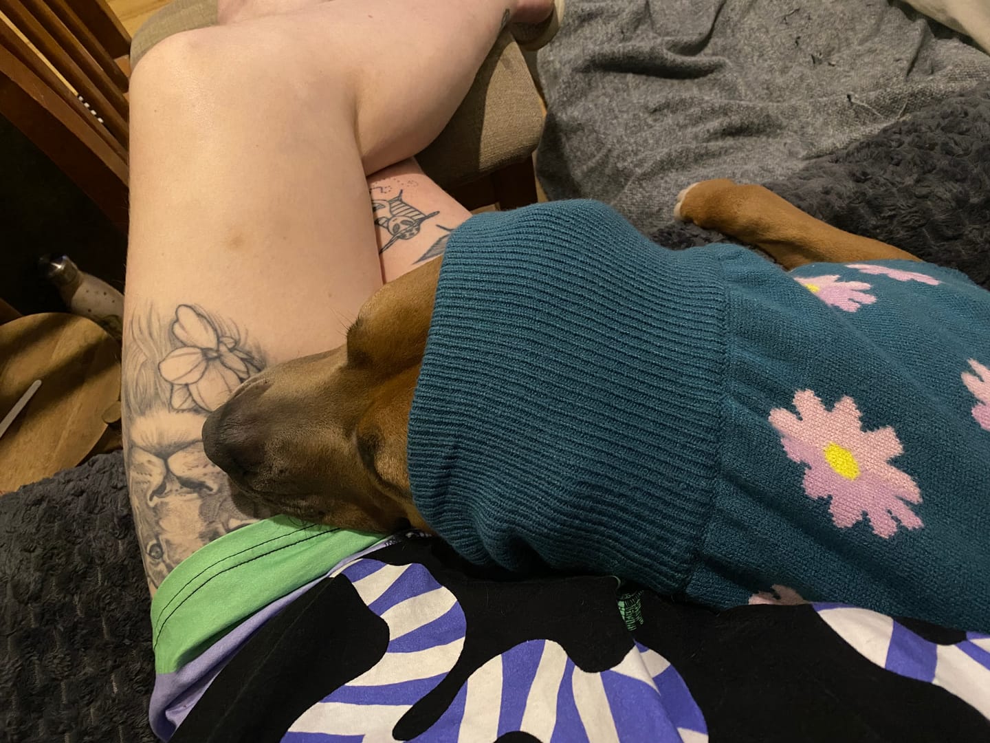 Customer photo review of Flower Knit Dog Sweater