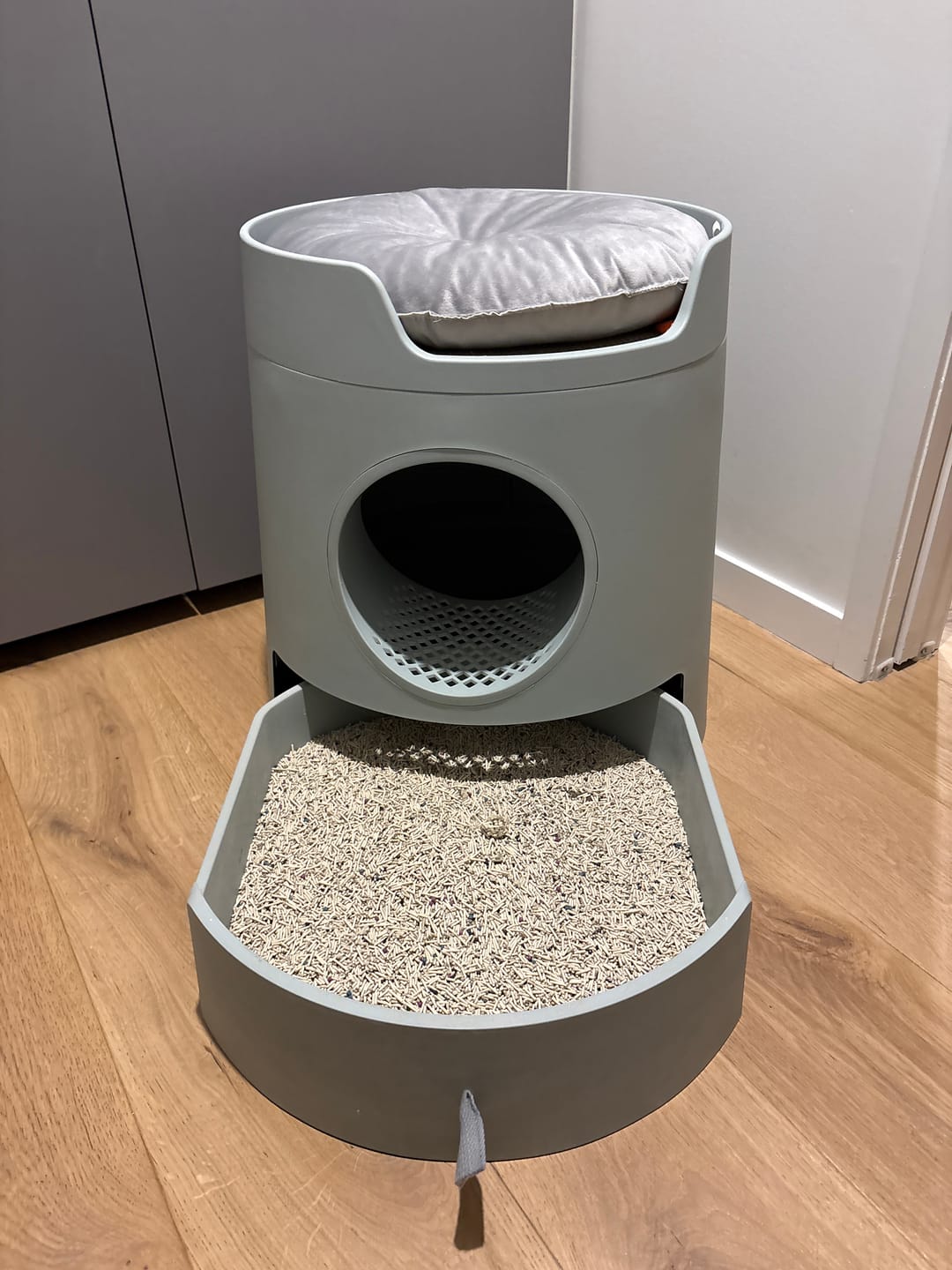 Customer photo review of Michu Premium Mixed Tofu Cat Litter Pro Gen2 6L- Superb in Flushable, Eco-Friendly & Odour-Control