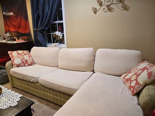 Customer photo review of Dog Proof Cushion Covers