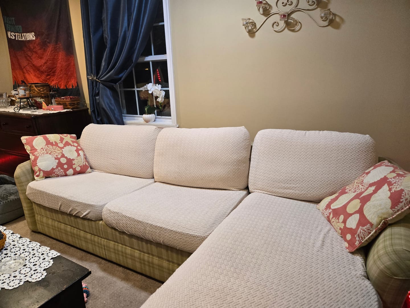 Customer photo review of Dog Proof Cushion Covers