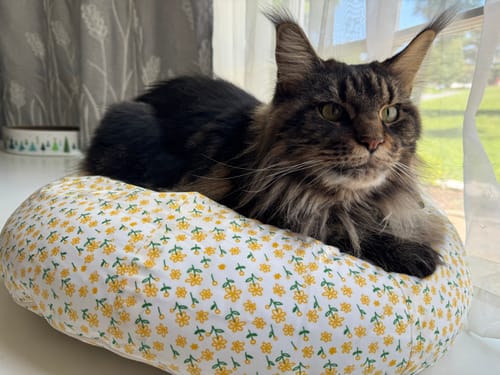 Customer photo review of Sunny Poppy Pudding Bed