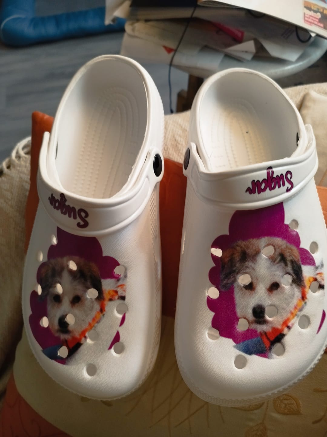 Customer photo review of Haustierportrait - Individuelle Clogs