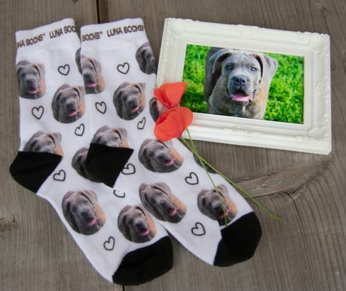 undefined review of Personalisierte Socken mit deinem Haustier image 1 out of 1