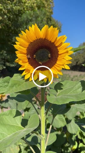 Customer video review of Monthly Artisan Card Subscription