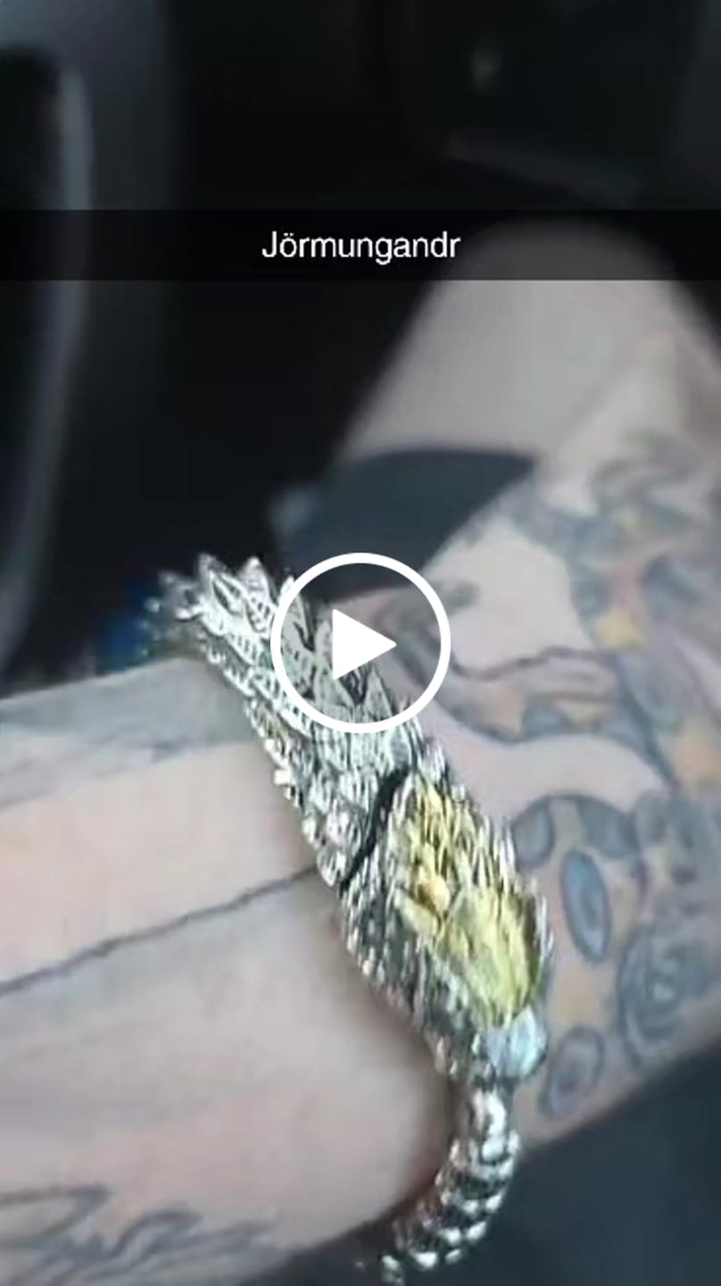 Customer video review of JÖRMUNGANDR - The World Serpent Bracelet | Handcrafted Stainless Steel Viking Jewelry