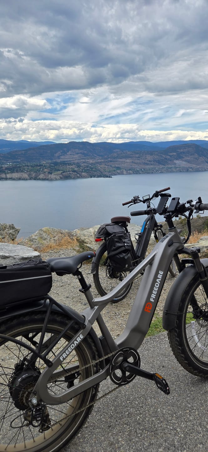 Customer photo review of FD Saiga All-terrain Fat Tire Electric Bike | UL Certified