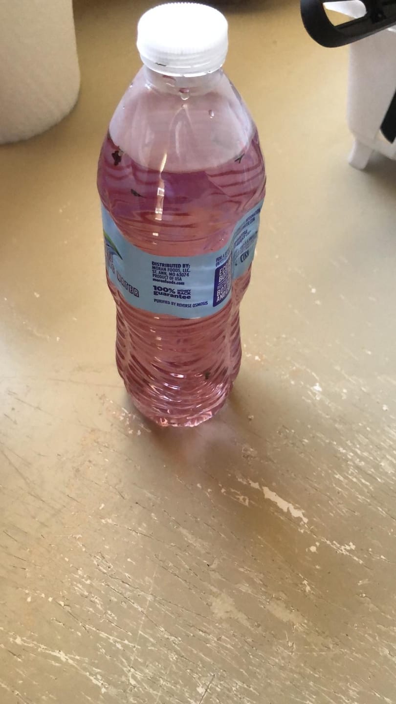 Customer photo review of 1 POUND RAW SEA MOSS