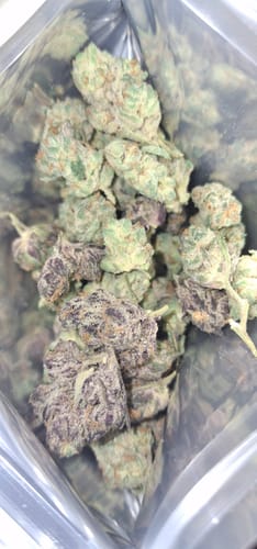 Customer photo review of Value Indoor Smalls