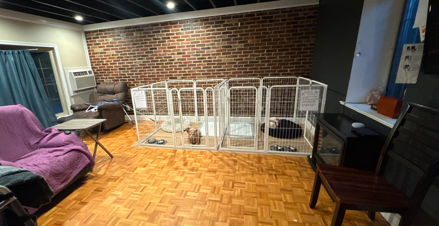 Customer photo review of Homeplus Dog Playpen for Indoor Use