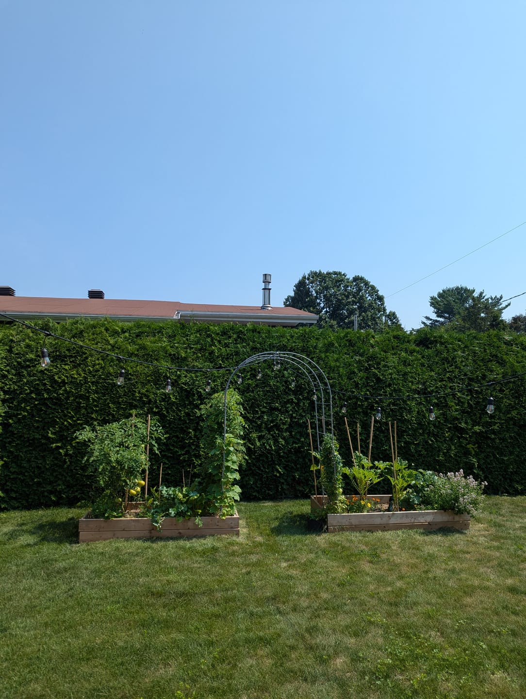 Customer photo review of Arch Garden Trellis