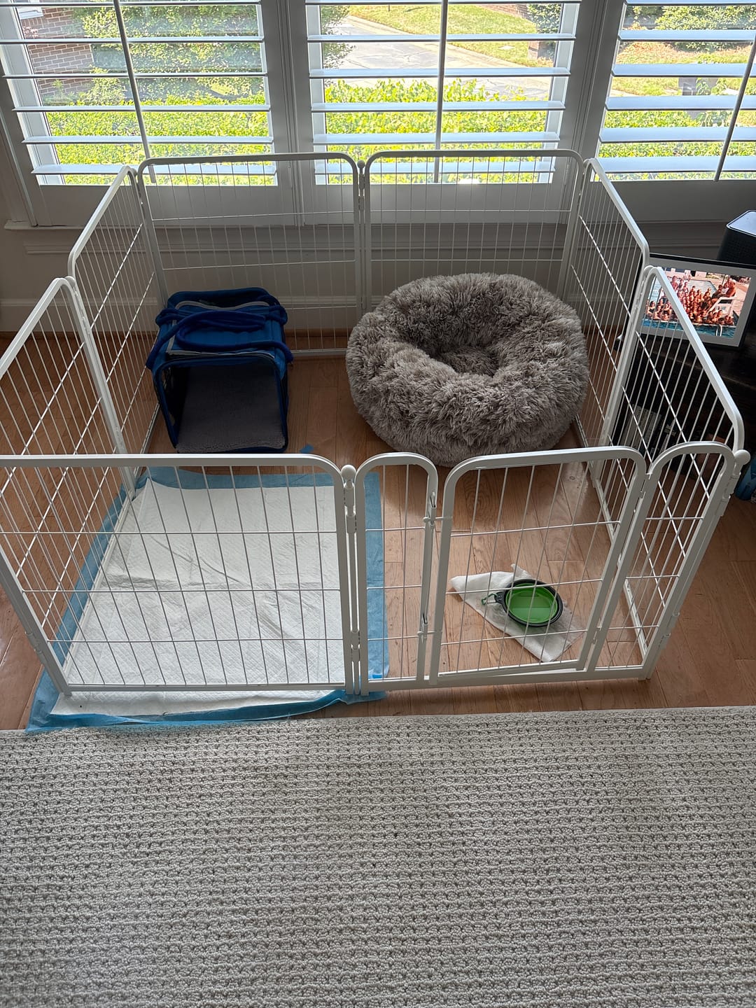 Customer photo review of Homeplus Dog Playpen for Indoor Use