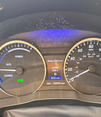 Customer photo review of Plushy Gossamer® Lash