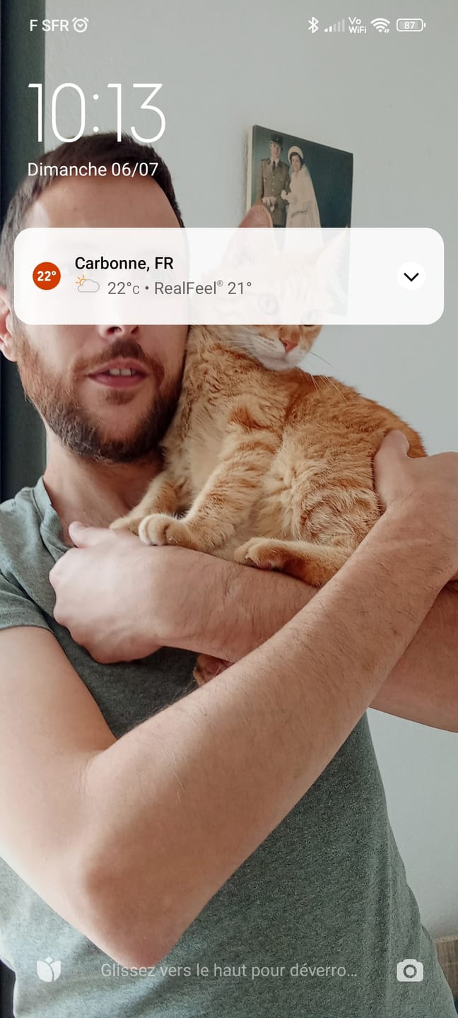 Customer photo review of Émincés en sauce BIO au poulet et aux petits pois carottes (chat adulte)