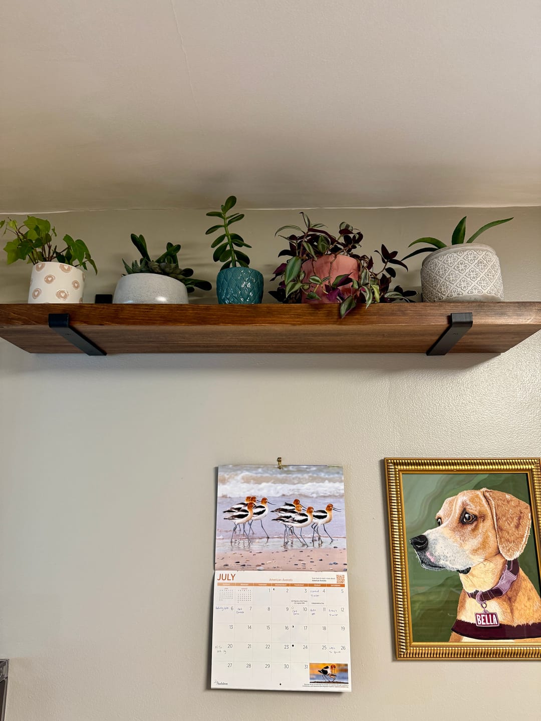 Customer photo review of Rustic Shelves with Brackets