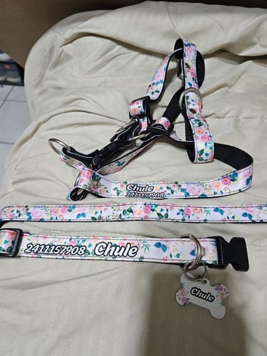 Customer photo review of Correa de paseo: Rosas