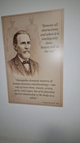 Customer photo review of ערכות תלייה למגנטיקס