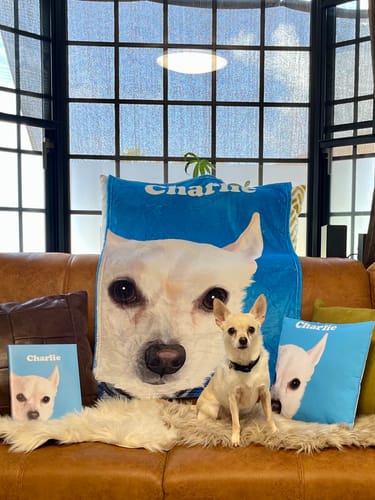 Customer photo review of Petcanva©オーダーメイド ペット似顔絵