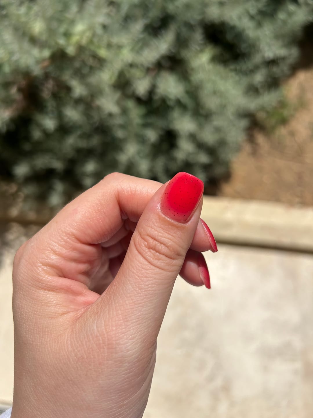 Customer photo review of N Jelly Berry Jel Tırnak 30 Adet, 2 Kullanım