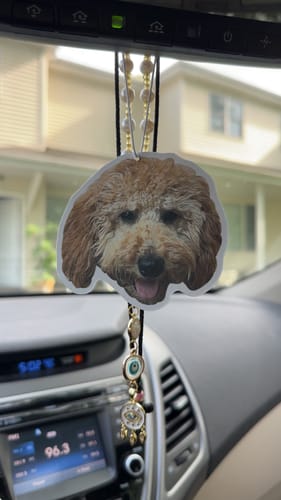Customer photo review of Custom Air Freshener