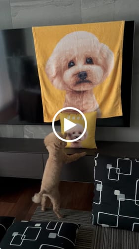 Customer video review of Petcanva©オーダーメイド ペット似顔絵