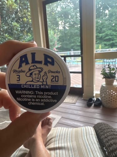 Customer photo review of Chilled Mint Nicotine Pouches