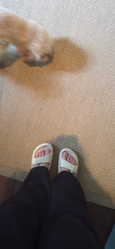 Customer photo review of HappyCushers