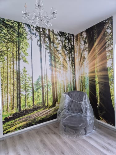 Customer photo review of Fototapete "Sonne strahlt durch den Wald"