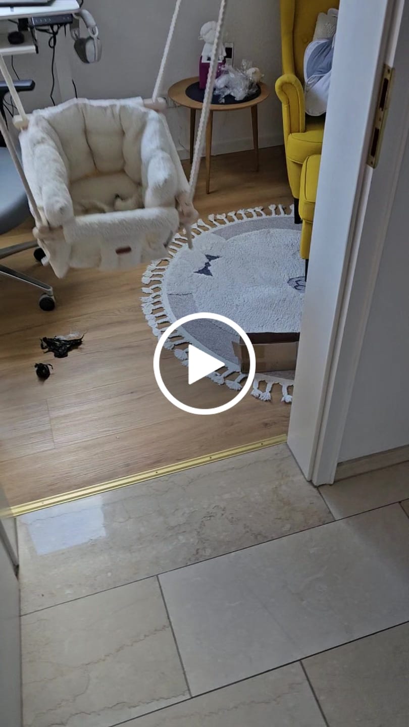 Customer video review of Premium Alpine Dream Schaukel - Handgefertigte Schaukel