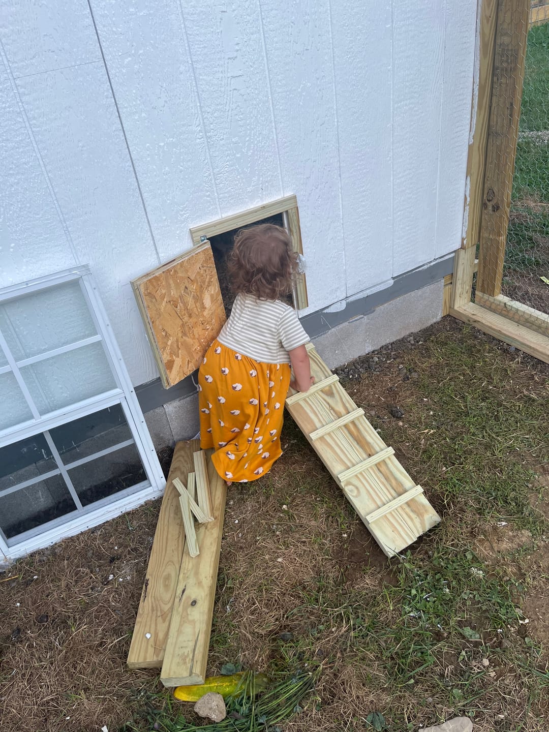 Customer photo review of Counting Sheep Easy Peasy Summer Dress