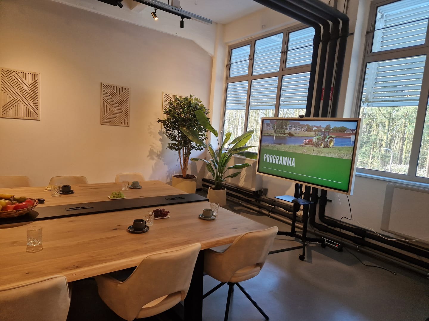 Customer photo review of Ficus Kunstplant 180cm