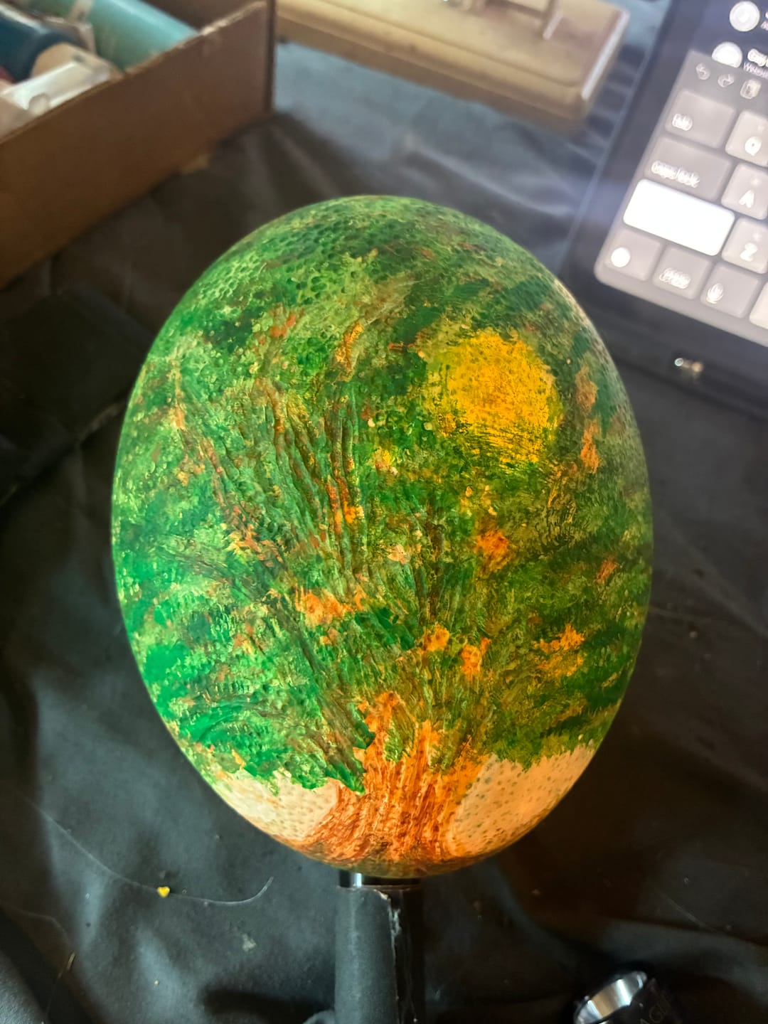 Customer photo review of Ostrich Egg Shell