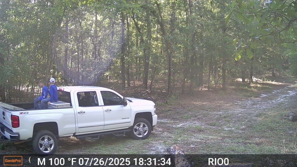Customer photo review of GardePro X60P Live Max (Cellular)