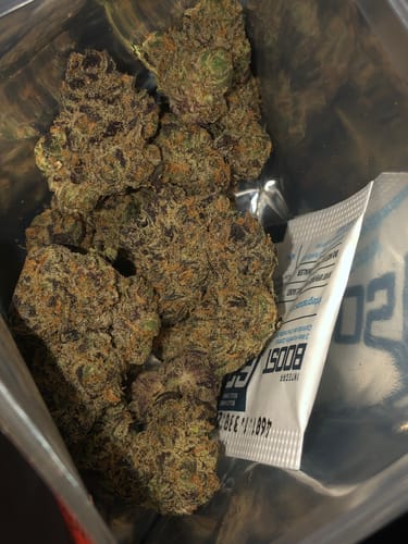 Customer photo review of London Fog