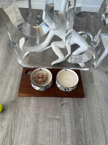 Customer photo review of GUCCI DOG BOWL