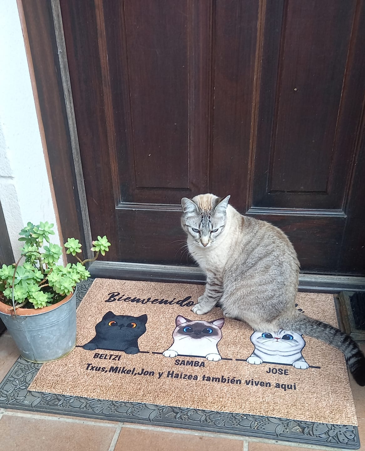 Customer photo review of Bienvenidos a lo de gatos curiosos - Felpudo personalizado