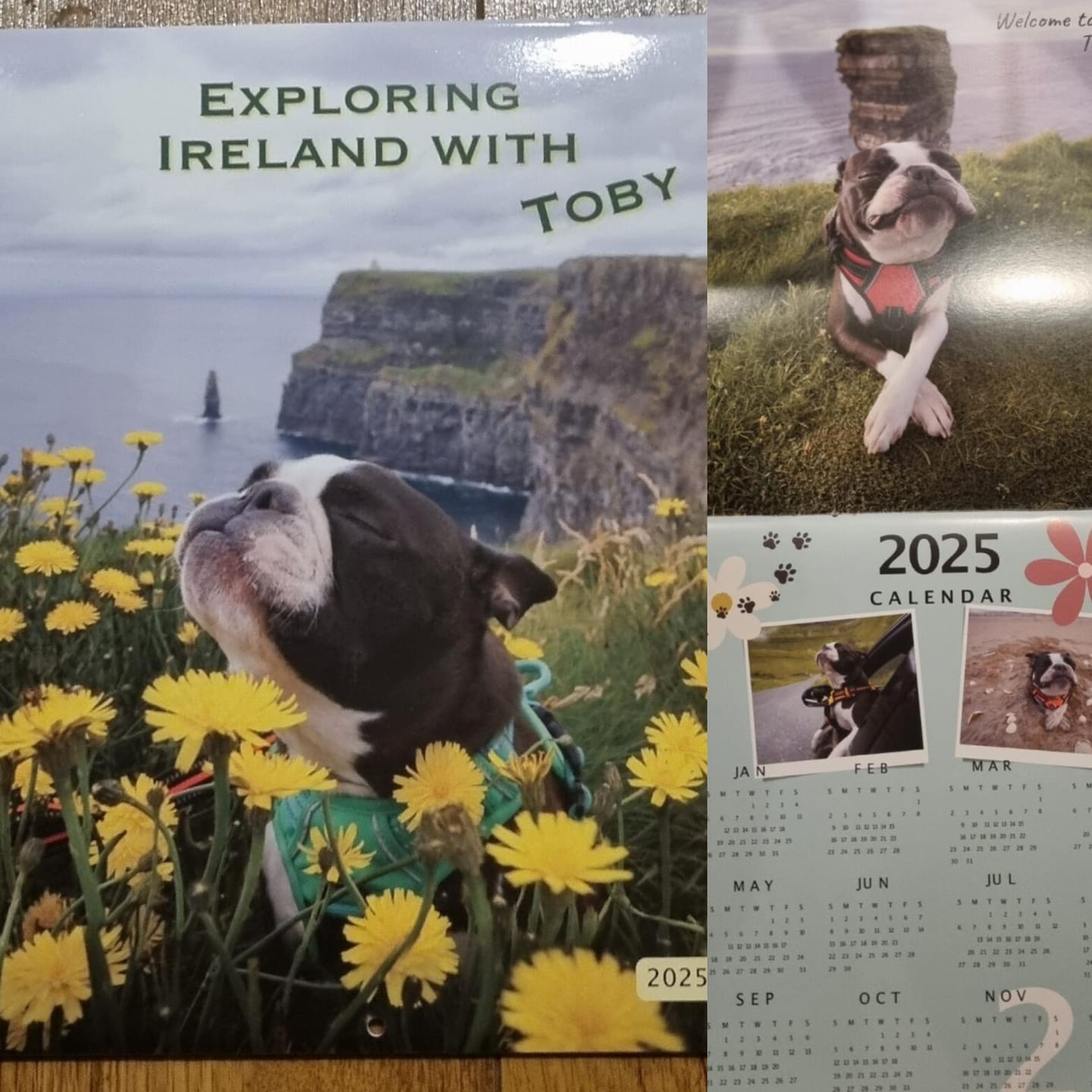 Customer photo review of 2025 Wall Calendar