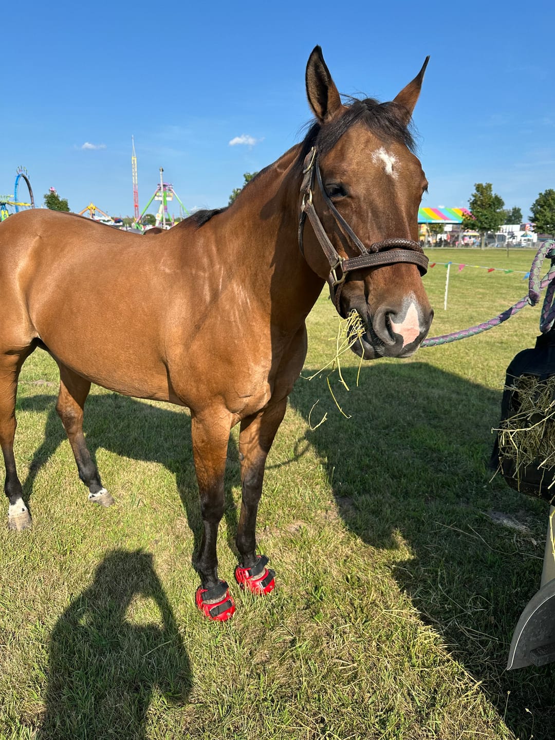 Customer photo review of Renegade® Classic Hoof Boots - Dragon Fire Red