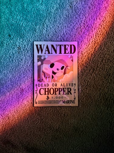 Customer photo review of Metal Wanted Poster Set 2 (One Piece)