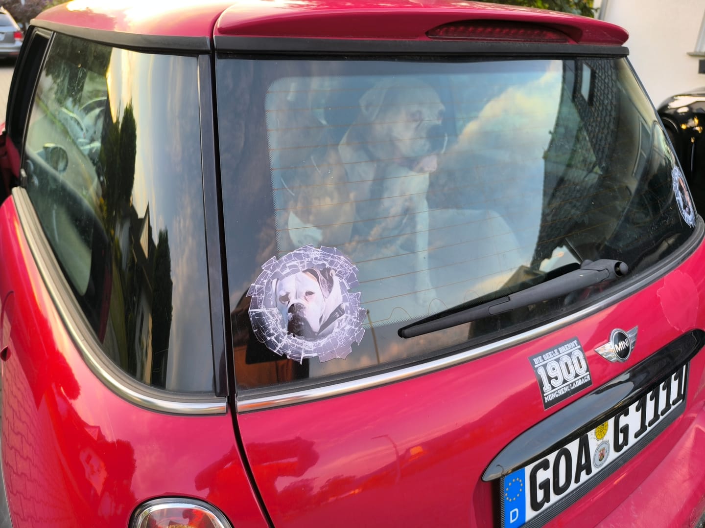 Customer photo review of Spähendes Foto Glas - Individueller Autoaufkleber