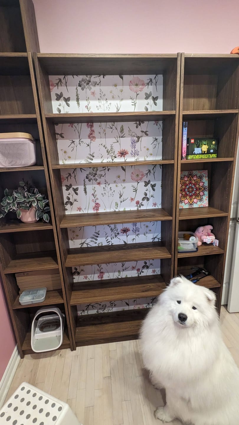 Customer photo review of Wildflower Wallpaper