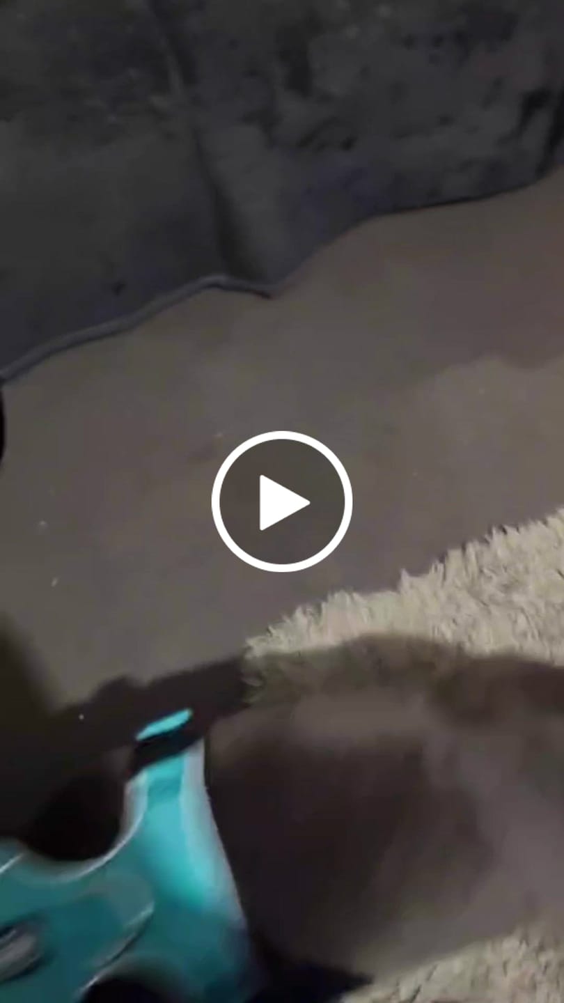 Customer video review of Comfort Premium Harness | Non Restrictive - Turquoise