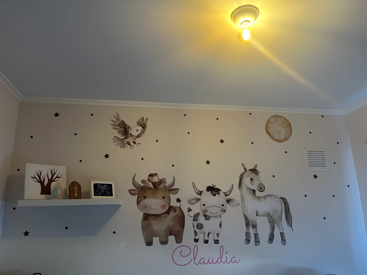 Customer photo review of Animalitos del oeste