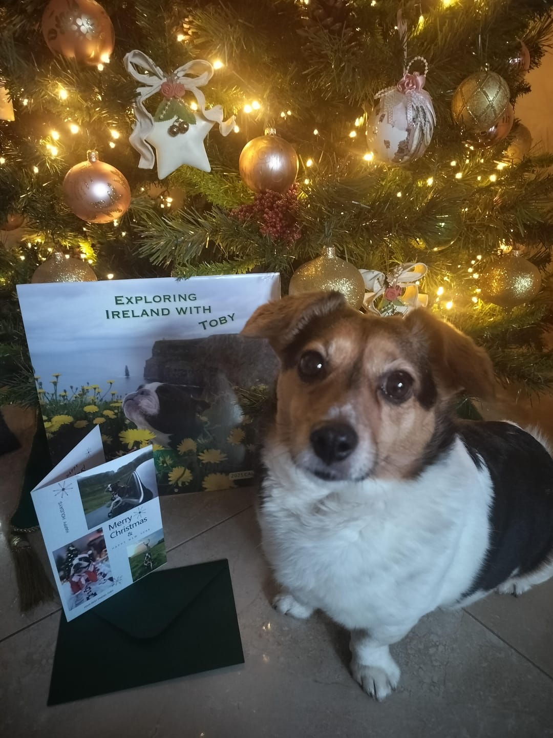 Customer photo review of 2025 Wall Calendar