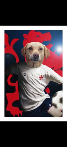 Customer photo review of England Player - Custom Pet Portrait